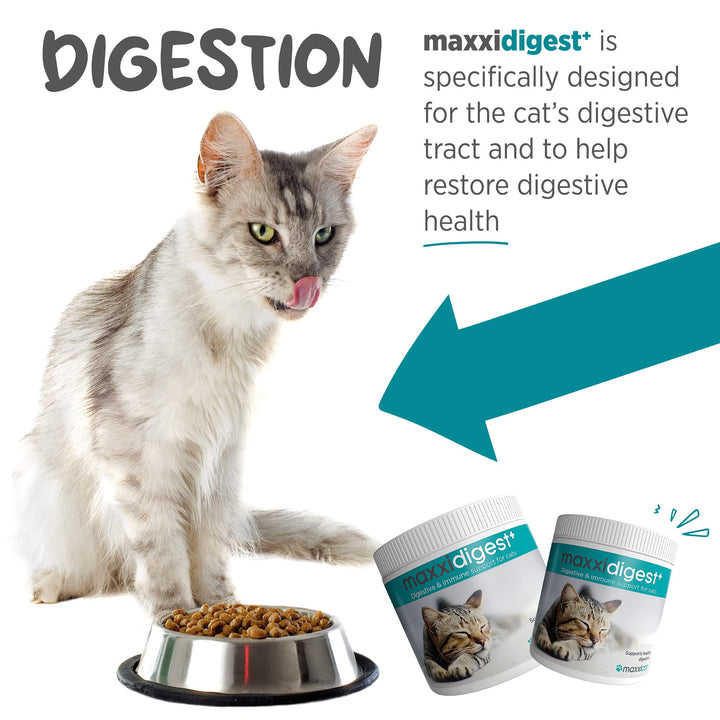 maxxidigest+ Probiotic & Prebiotic Powder Supplement - Digestive & Immune Support for Cats, 7oz