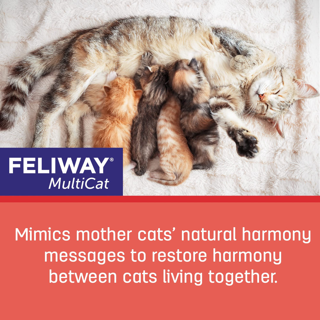 MultiCat Calming Pheromone, 30 Day Refill - 6 Pack