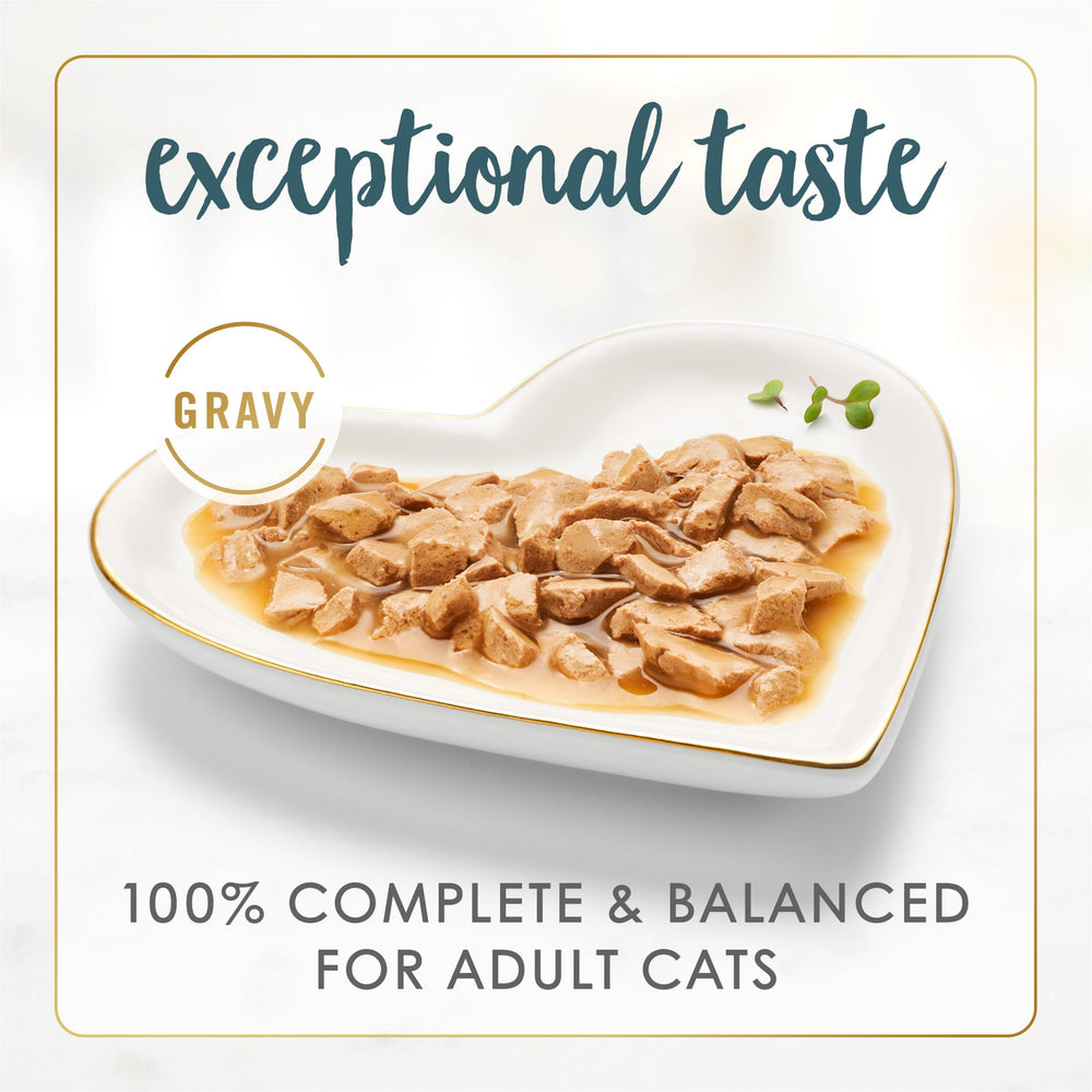 Purina Gravy Lovers Turkey Feast Grilled Gourmet Cat Food in Wet Cat Food Gravy - (Pack of 24) 3 oz. Cans