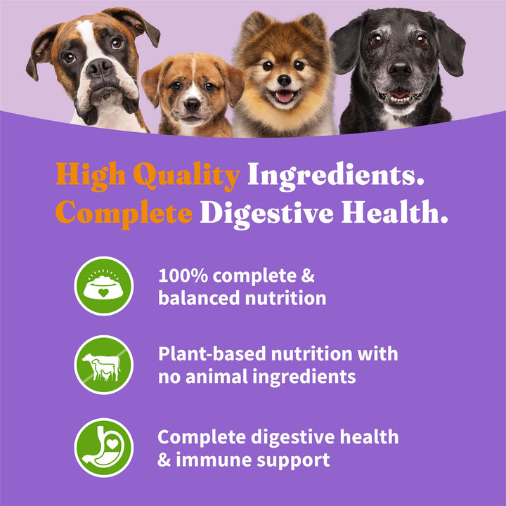 Holistic Vegan Dry Dog Food, 4-Pound Bag