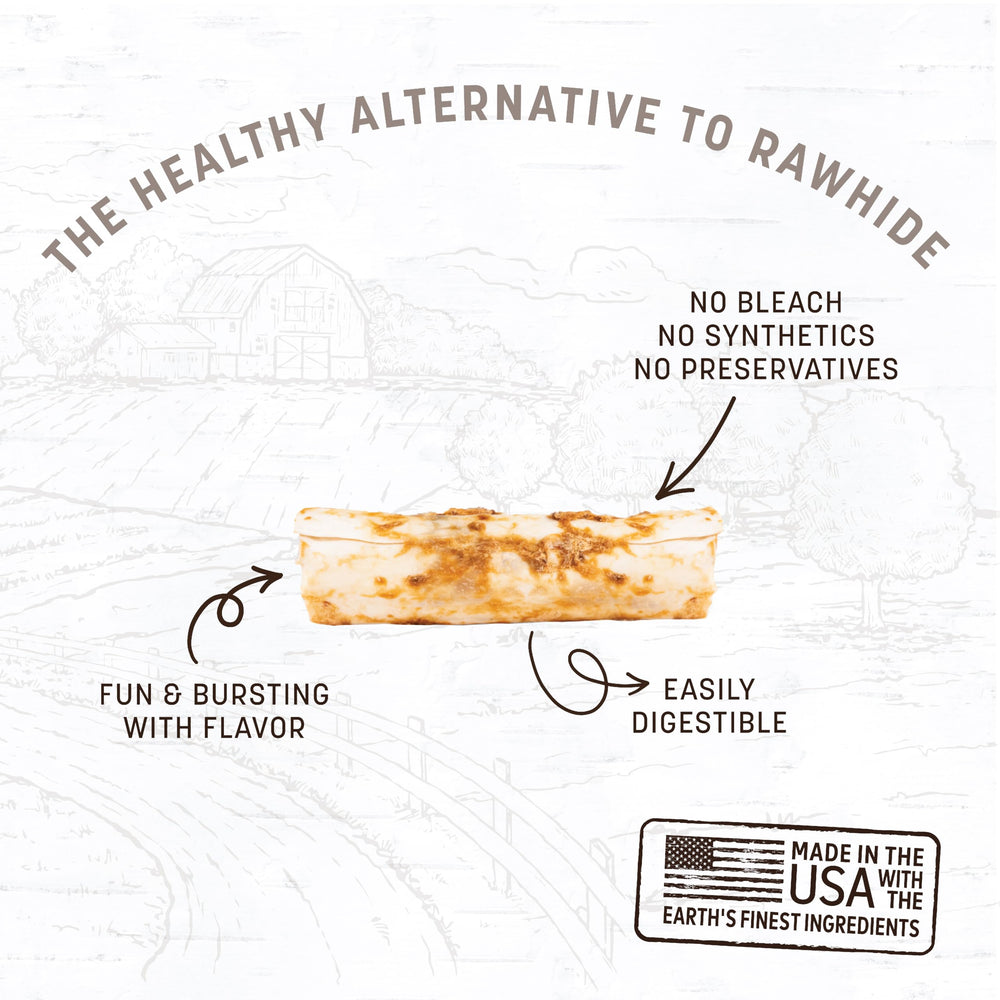 No Hide Small Long Lasting Dog Chew Rolls, Peanut Butter, 2 Count Pack of 1