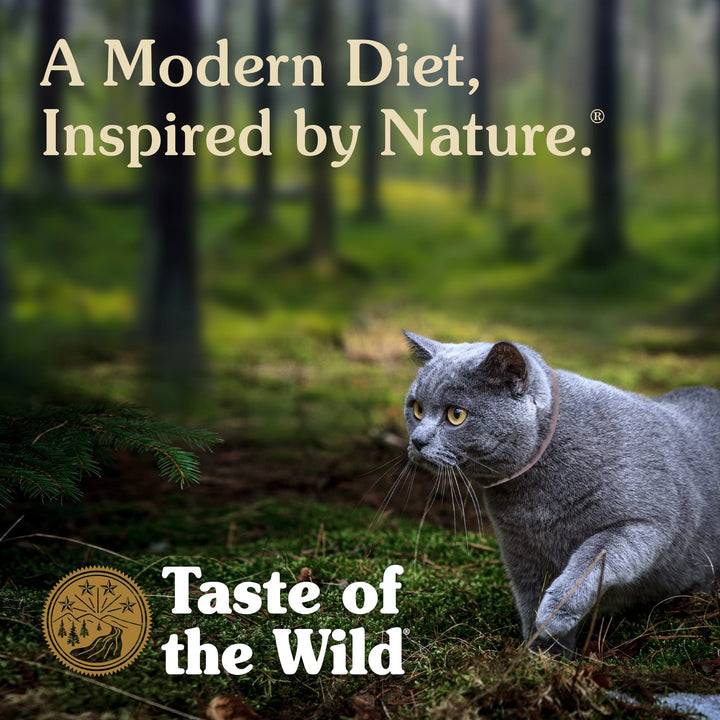 Rocky Mountain Feline Recipe with Salmon & Venison in Gravy Salmon 3oz
