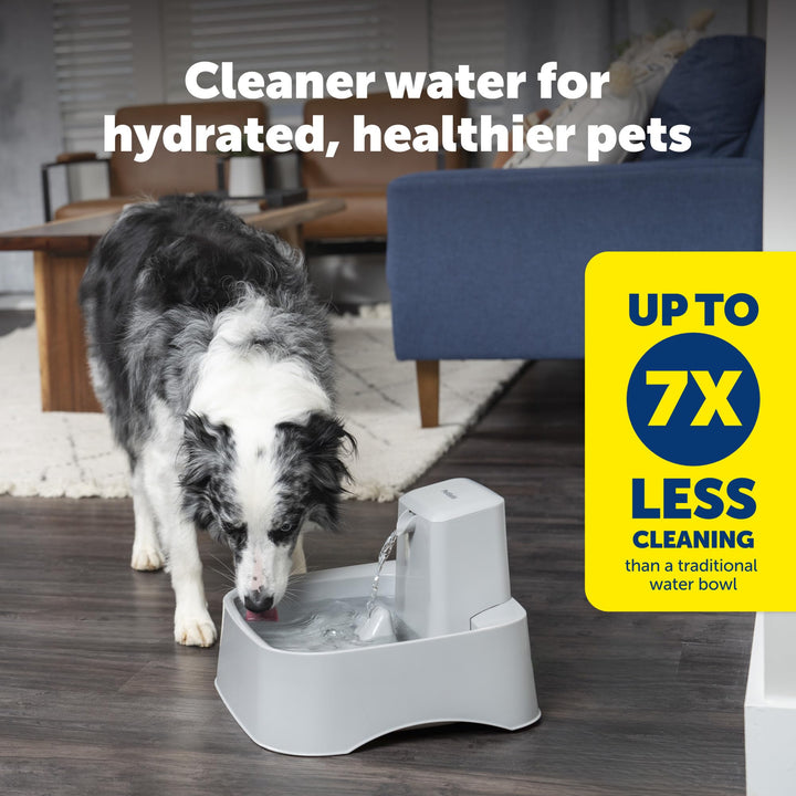 Drinkwell Pet Water Fountain, Dog Water Bowl (2 Gallon/256 oz) Cat and Dog Water Fountain, Dog Water Bowl Dispenser, Plastic Construction, Adjustable Flow Control, Easy to Clean Design, Grey