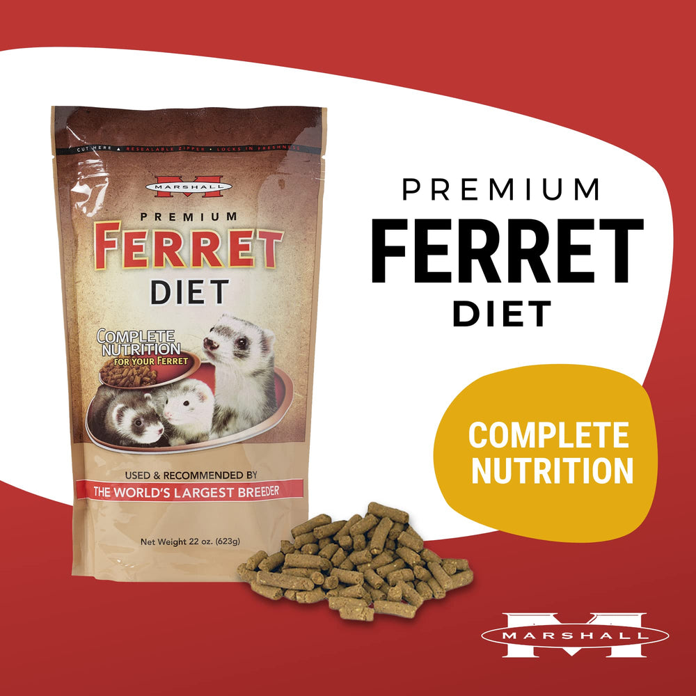 Premium Ferret Diet Dry Food, 22 oz - Protein-Rich Formula for Balanced Nutrition, Digestive Support, and Ferret Health