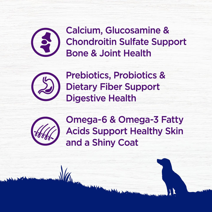 Complete Health Dry Dog Food, Large Breed, Wholesome Grains, Natural, Chicken & Brown Rice Recipe, (30-Pound Bag)