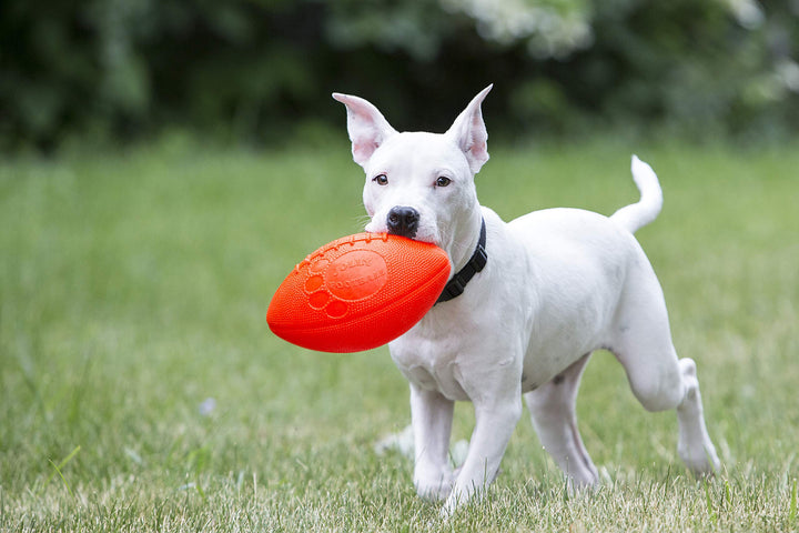 Football Dog Toy, 8 Inches, Orange