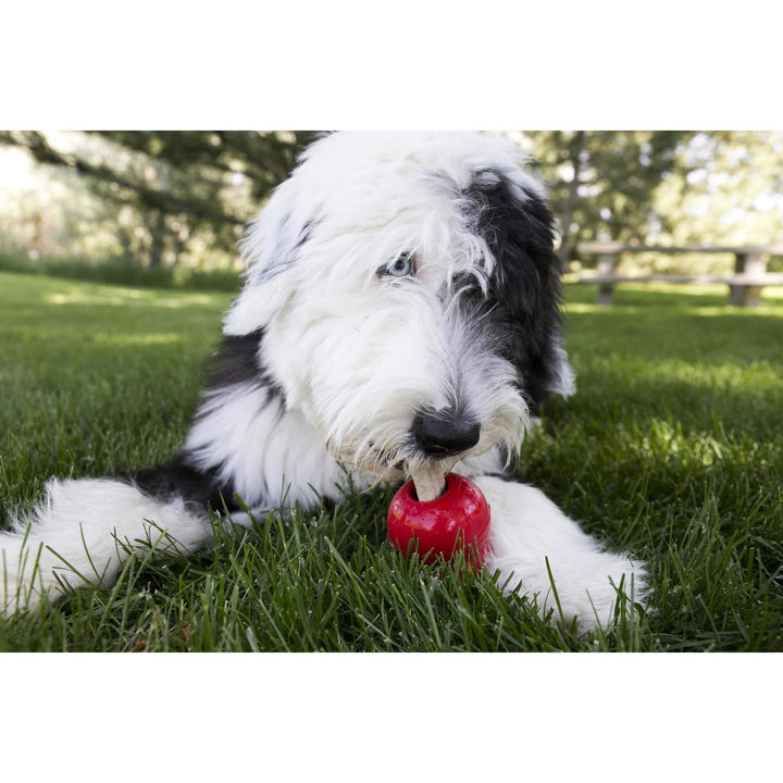 - Ziggies - Teeth Cleaning Dog Treats - Chicken Flavor - Large (Best Used Classic Rubber Toys)