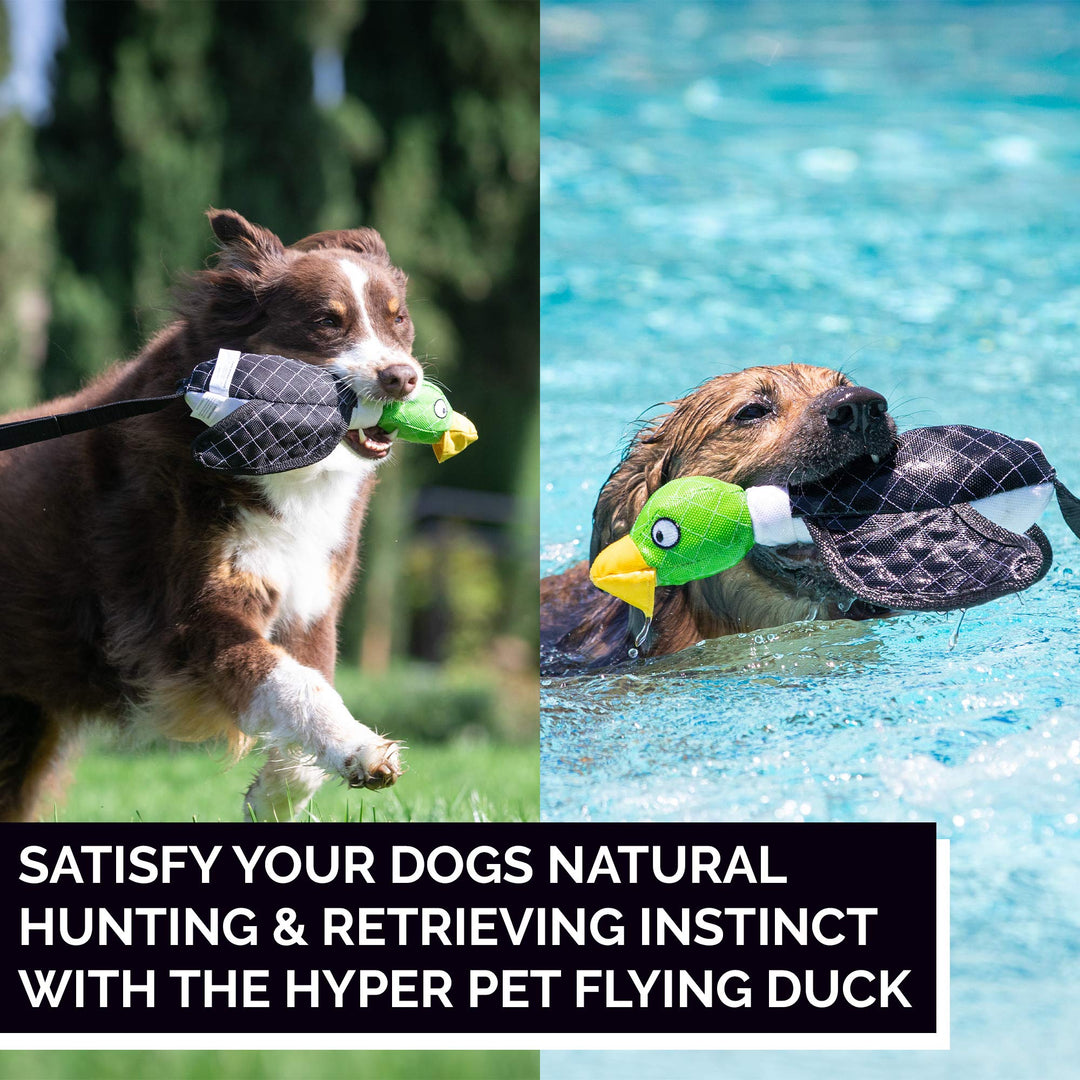 Flying Series Interactive Dog Toys - Large Duck Slingshot Fetching Dog Toy - Floats on Water