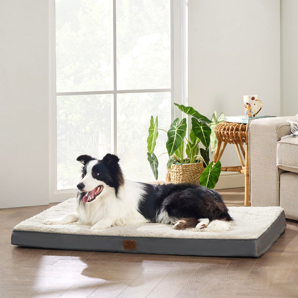 Dog Beds Large Sized Dog - Extra-Large Orthopedic Waterproof Puppy Bed with Removable Washable Cover, Egg Crate Foam Pet Mat, Suitable for Pet Up to 100 lbs
