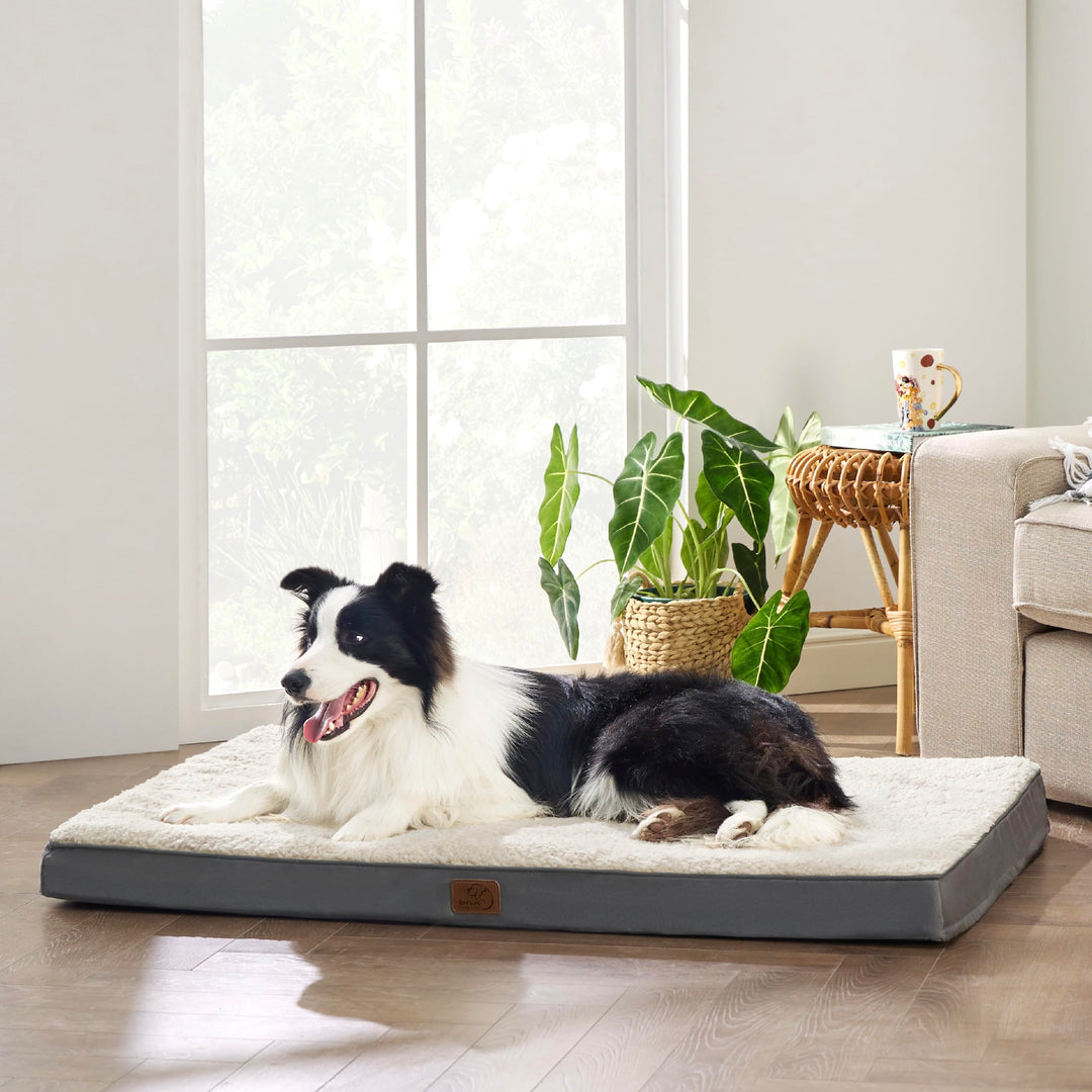 Dog Beds Large Sized Dog - Extra-Large Orthopedic Waterproof Puppy Bed with Removable Washable Cover, Egg Crate Foam Pet Mat, Suitable for Pet Up to 100 lbs