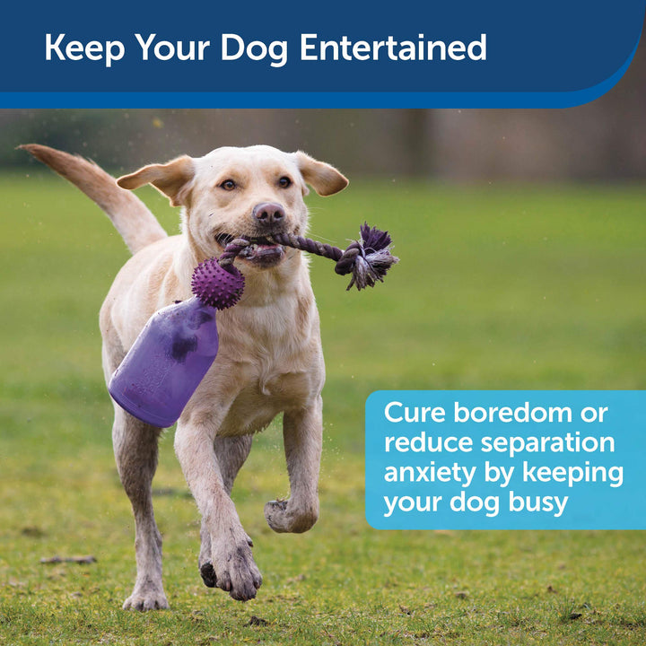 Busy Buddy Tug-A-Jug Dog Toy – Slow Feeder and Trainer – Small