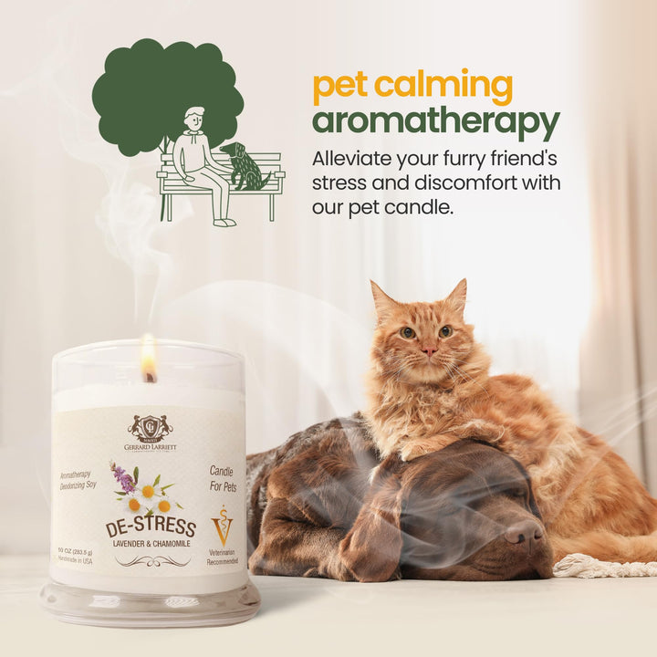 Gerrard Larriett: De-Stress Lavender & Chamomile Scented Candles for Home Decor and Pet Odor - Aromatherapy Stress Relief Soy Wax Candles - Pet Odor Eliminator for Home - Pet Friendly Candles