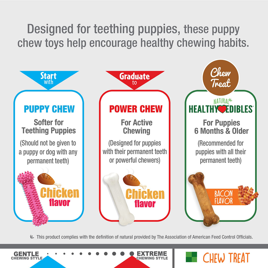 Puppy Chew Toys & Natural Treat Triple Pack, Pink, Chicken & Bacon Flavor, Small - Up to 25 Ibs, 3 Pack