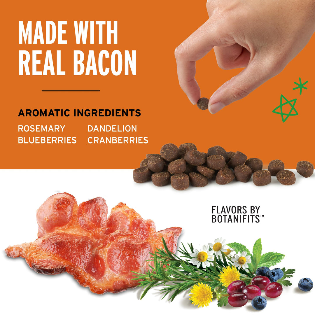 10 oz. Pouch Training Rewards Mini Soft & Chewy, Bacon Flavor, with 500 Treats Per Bag, The Choice of Top Trainers