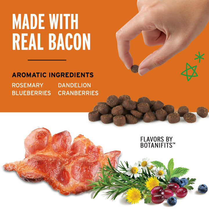 10 oz. Pouch Training Rewards Mini Soft & Chewy, Bacon Flavor, with 500 Treats Per Bag, The Choice of Top Trainers