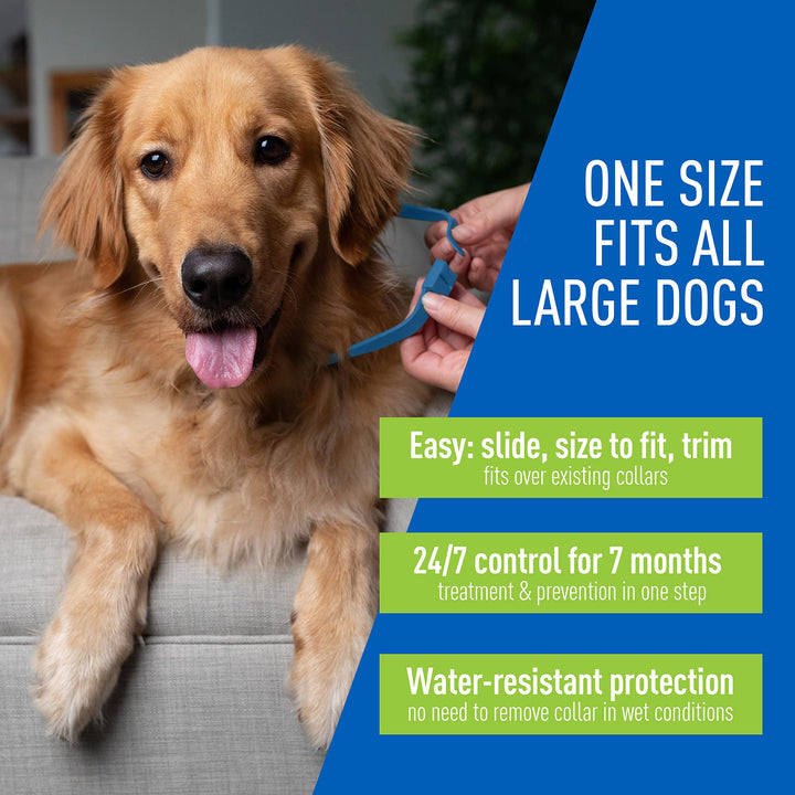 Plus Flea & Tick Collar for Dogs, 7-Month Protection, Adjustable Collar Fits Large Dogs & Puppies, Kills & Repels Fleas, Flea Eggs, Flea Larvae and Ticks, Kills Tick Larvae and Tick Nymphs, Blue