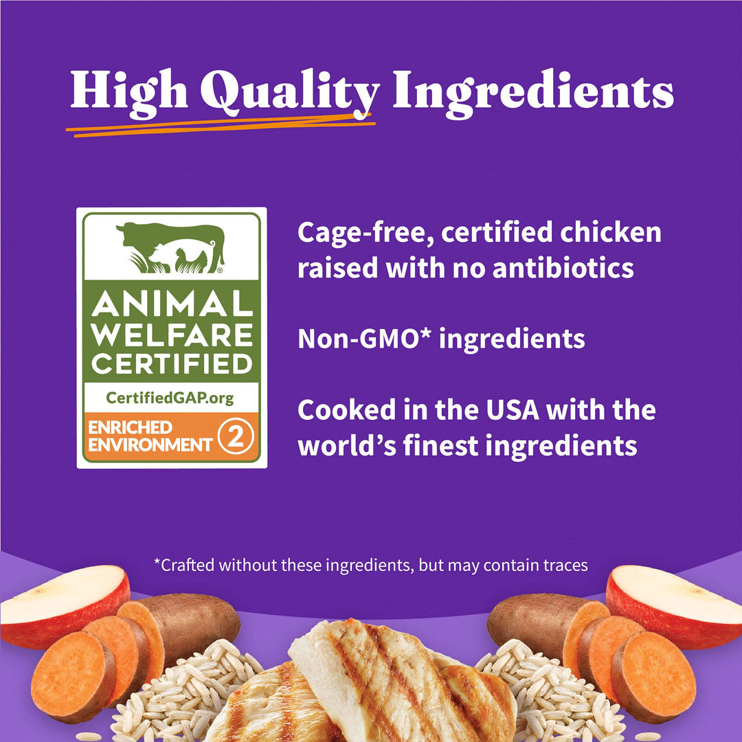 Holistic Small Breed Dog Food, Cage Free Chicken & Brown Rice Recipe, Healthy Grains Dry Dog Food, Complete Digestive Health, 10 lb Bag