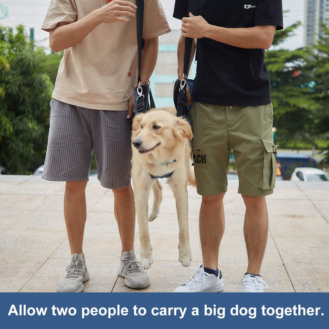 COODEO Dog Carry Sling, Emergency Backpack Pet Legs Support & Rehabilitation Dog Lift Harness for Nail Trimming, Dog Carrier for Senior Dogs Joint Injuries, Arthritis, Up and Down Stairs(2XL, Blue)