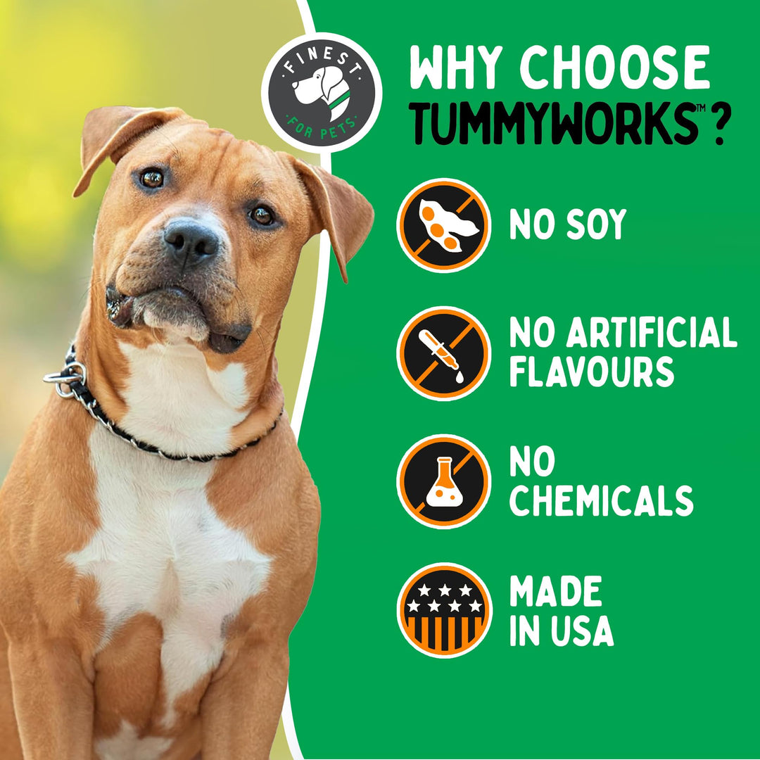 TummyWorks Probiotic 120 Soft Chews for Dogs All Ages - Supports Digestive Health, Relieves Diarrhea, Constipation, Good for Itching, Allergies, Yeast Infections. Added Digestive Enzymes, Made in USA