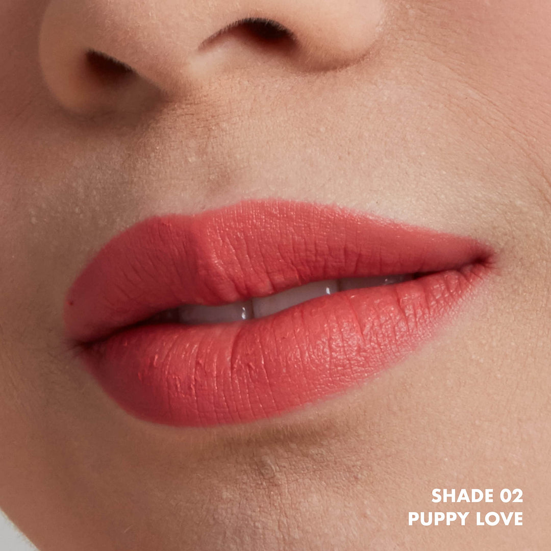 PROFESSIONAL MAKEUP Powder Puff Lippie Lip Cream, Matte Finish, 0.4 Ounce - Puppy Love