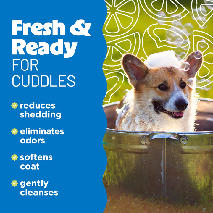 Deshedding Dog Shampoo, Fast-Acting Shedding Control & Coat Softener, Puppy Safe, Made in USA, Lime & Coconut Scent, Cat Friendly, 20oz.