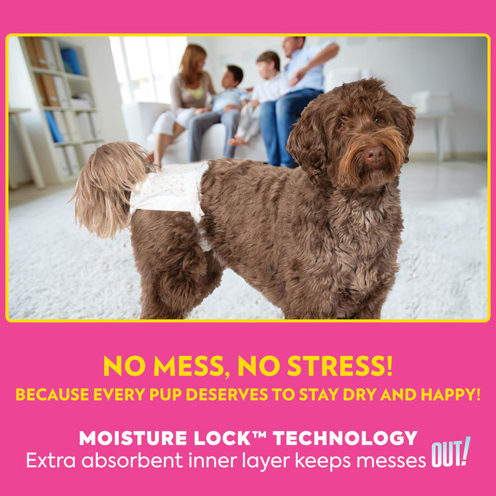 Petcare Disposable Dog Diapers, Female Dog Diapers, Incontinence Protection for Dogs, Heat Cycle Protection, Puppy Training Solution, 9”-14” Waist, Toy, 32 Count