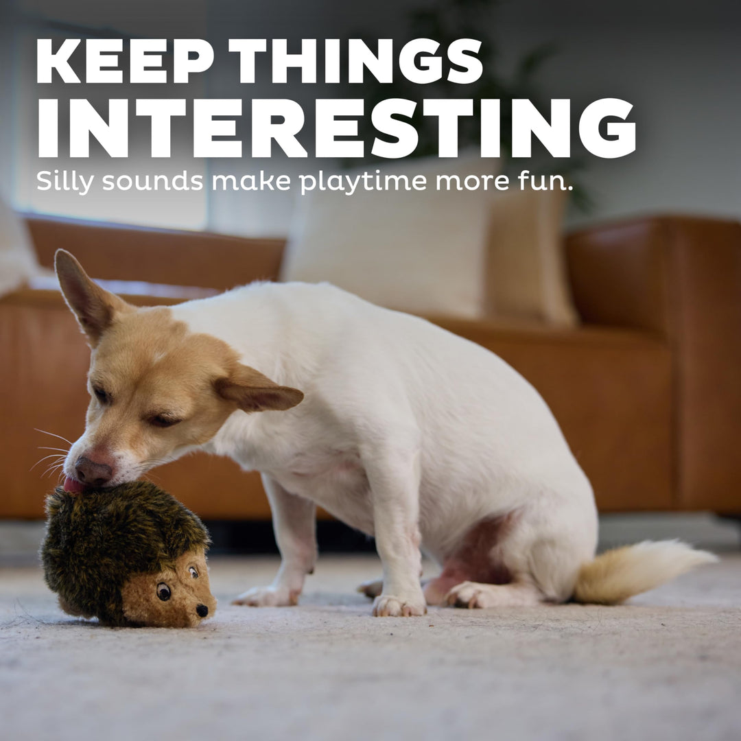 Hedgehogz Plush Dog Toy, Small