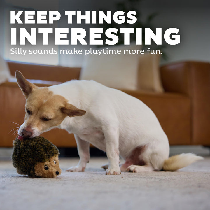 Hedgehogz Plush Dog Toy, Small