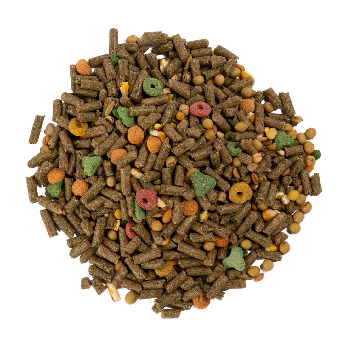 Advanced Nutrition Guinea Pig, 4 Pounds, Complete And Balanced Diet