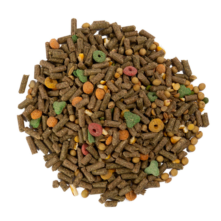 Advanced Nutrition Guinea Pig, 4 Pounds, Complete And Balanced Diet