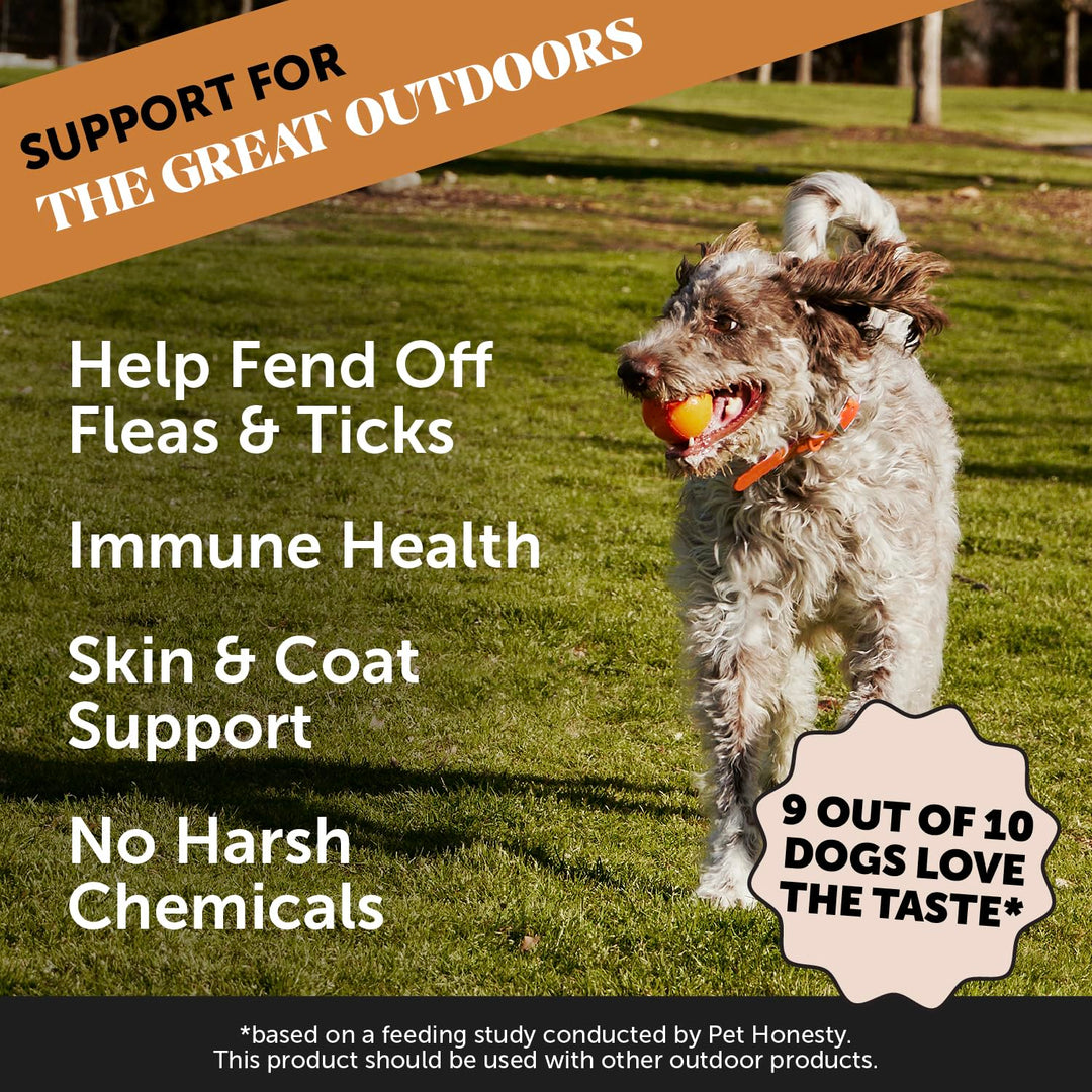 Flea and Tick Prevention for Dogs Supplement - Natural Flea and Tick Chews for Dogs, Oral Pills with No Harsh Chemicals, Natural Way to Enjoy The Outdoors - Bacon (90 Count)