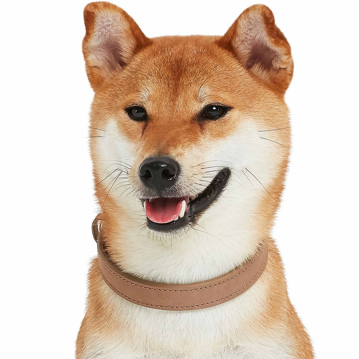 Soft & Comfy Genuine Full Grain Leather Adjustable Dog Collar - Beige, Large, Neck 18-22