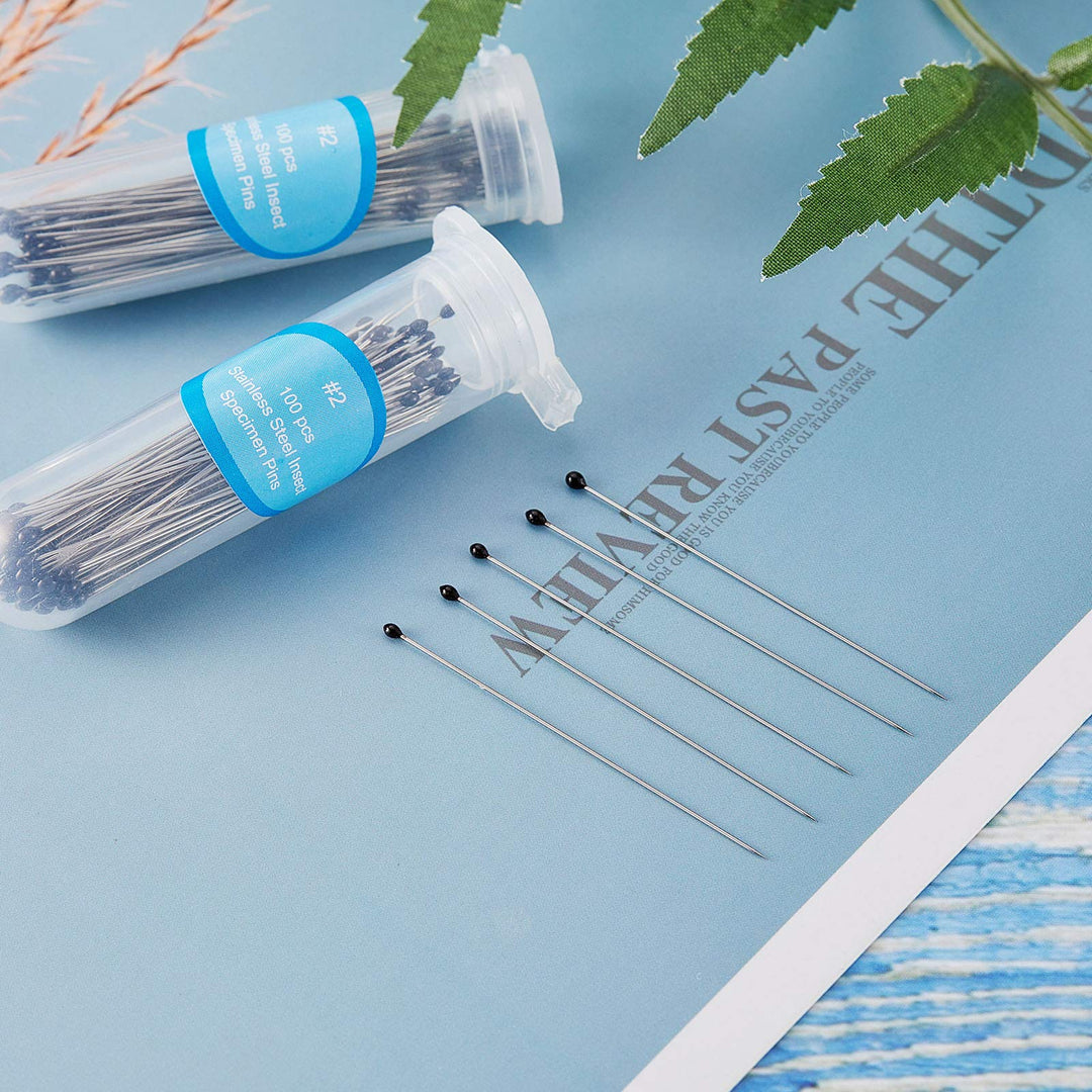 Stainless Steel Insect Pins Kit Specimen Entomology Pins Butterfly Collections Needles Variety Pack for School Lab Entomology Dissection Butterfly Collectors (500 Pieces,Size 2)