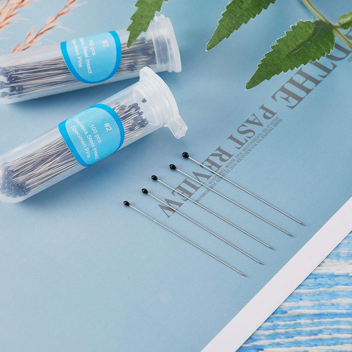 Stainless Steel Insect Pins Kit Specimen Entomology Pins Butterfly Collections Needles Variety Pack for School Lab Entomology Dissection Butterfly Collectors (500 Pieces,Size 2)