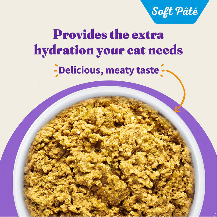 Adult Grain Free Wet Cat Food Soft Pate, Salmon Recipe in Broth, Healthy Cat Food with Real, Whole Salmon, 3 oz Can (Pack of 12)