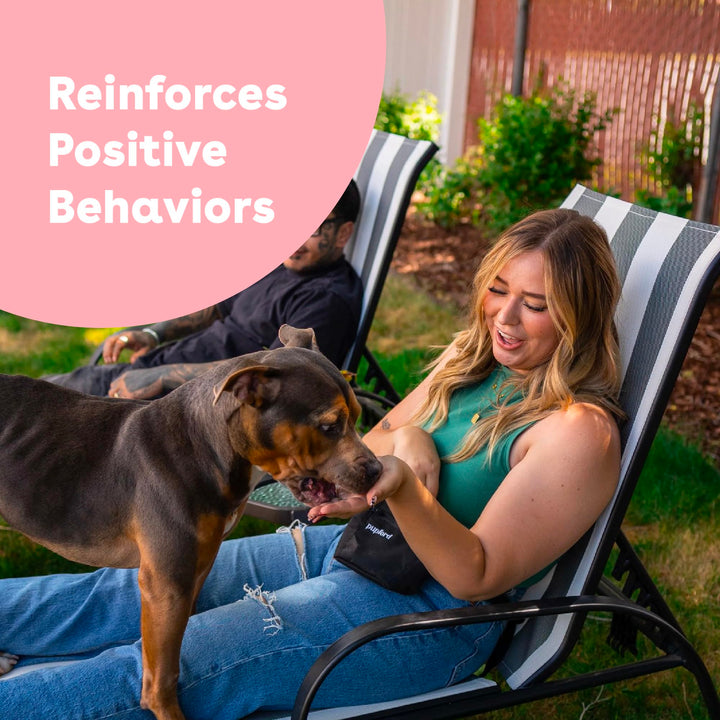 Freeze Dried Training Treats for Dogs & Puppies, 475+ Two Ingredient Bites (Salmon, 4 oz)