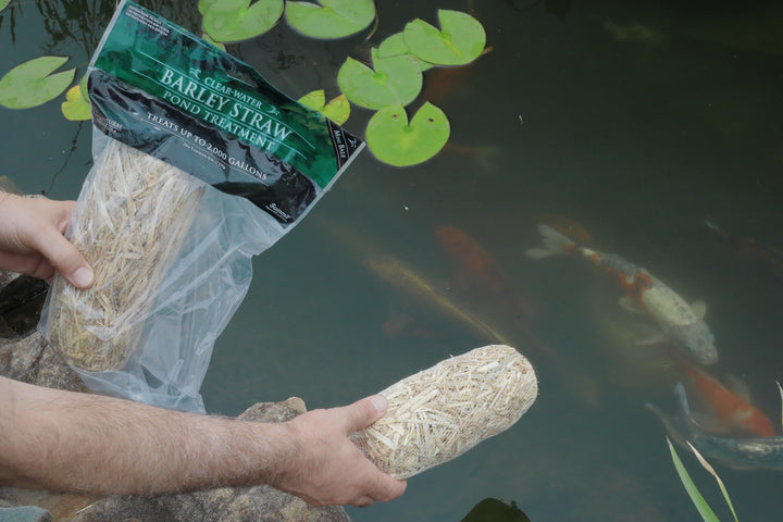 Clear-Water Barley Straw Pond Treatment, 2-Pack, Treats upto 2000 Gallons, 1000 Gallons per Bale