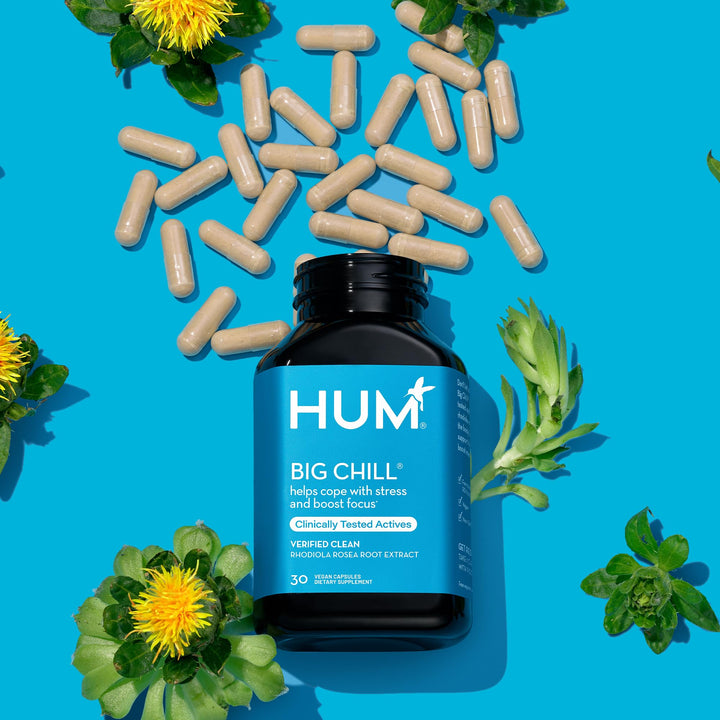 Big Chill - Calming Supplement with Rhodiola Rosea for Stress & Mood Support - Balances Adrenal Health for Improved Stress Response (30-Count)
