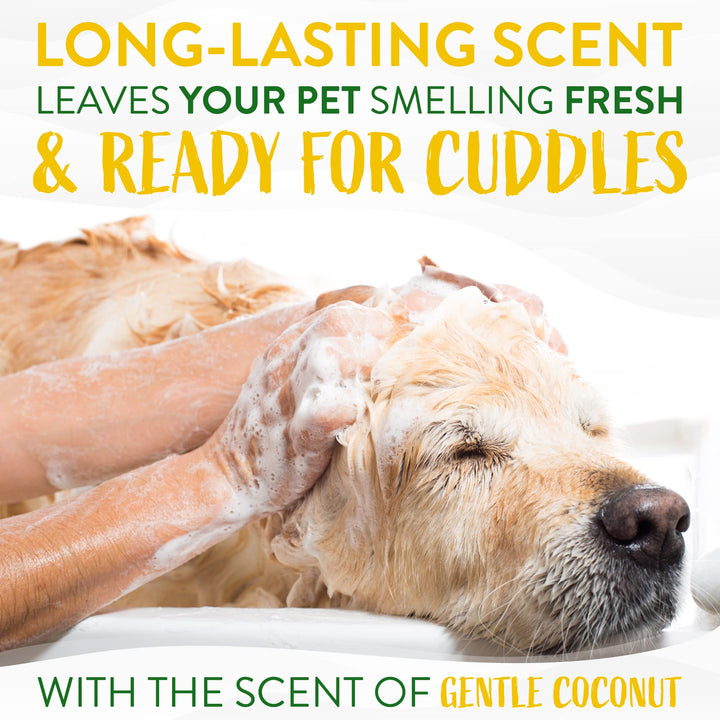 Gentle Puppy Shampoo, Dog Shampoo for Allergies & Sensitive Skin, Made in USA, Gentle Coconut Scent, Safe for Cats & Kittens, 20oz