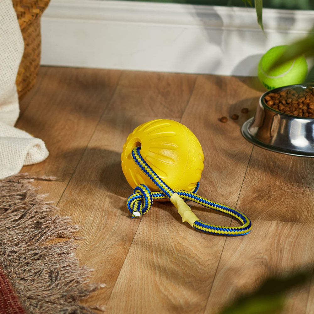 Swing 'n Fling DuraFoam Ball Dog Toy Large