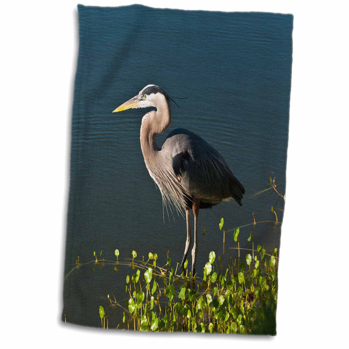 3D Rose Florida-Blue Heron Hunting at Shoreline Hand Towel, 15 x 22