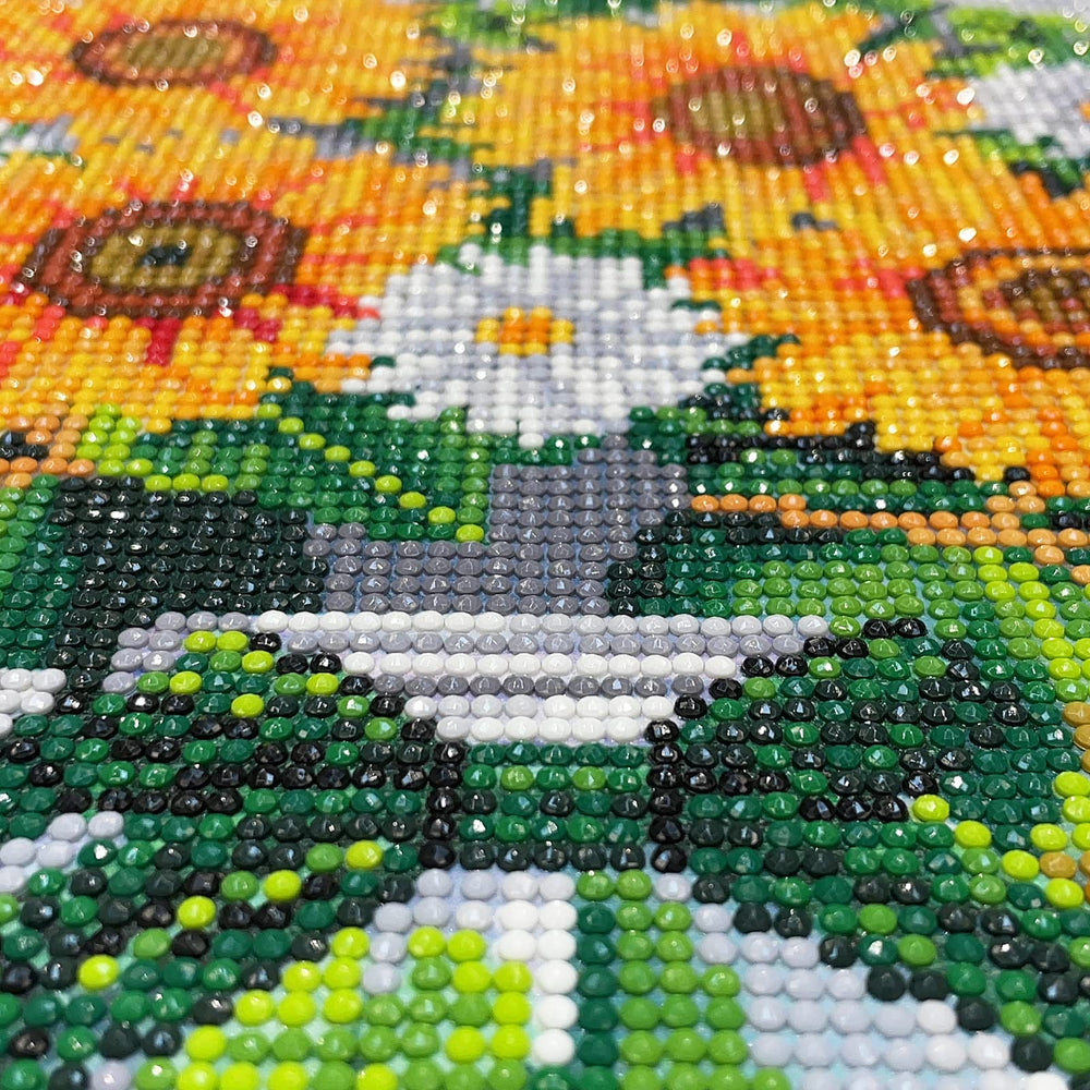 Diamond Painting Kits for Adults, Round Full Drill Diamond Painting Kits, 5D DIY Diamond Painting by Number Kits Diamond Art Kits for Decor 12x16 Inch Sunflowers Mason Jars St. Patrick's Day