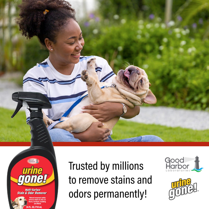 Stain & Odor Eliminator: Professional Strength Fast Acting, Enzyme Based Home Cleaning Solution for Carpet, Stain Remover for Cat Urine & Dog Pee