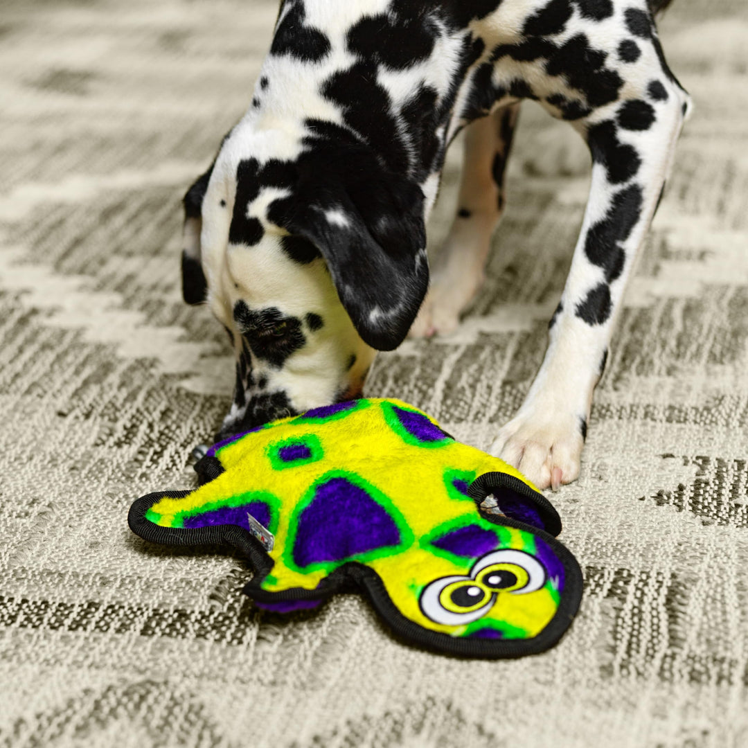 Durablez Tough Plush Squeaky Dog Toy, Gecko, Green, Medium