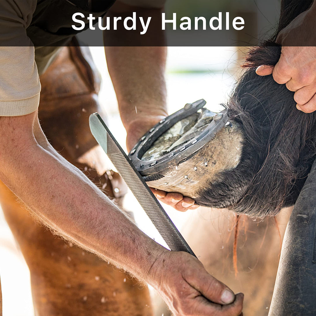 Horseshoe File 14 Inches, Horse Rasp and File with Handle for Horse Hoofs, Hoof Trimming Tool for Repairing Horse Goat Pig Hooves