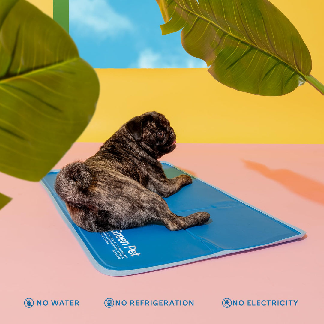 Cool Pet Pad - Medium, Blue - Self-Cooling, Pressure Activated Mat for Dogs & Cats from 21-45 lbs - Non-Toxic Gel, No Water Needed