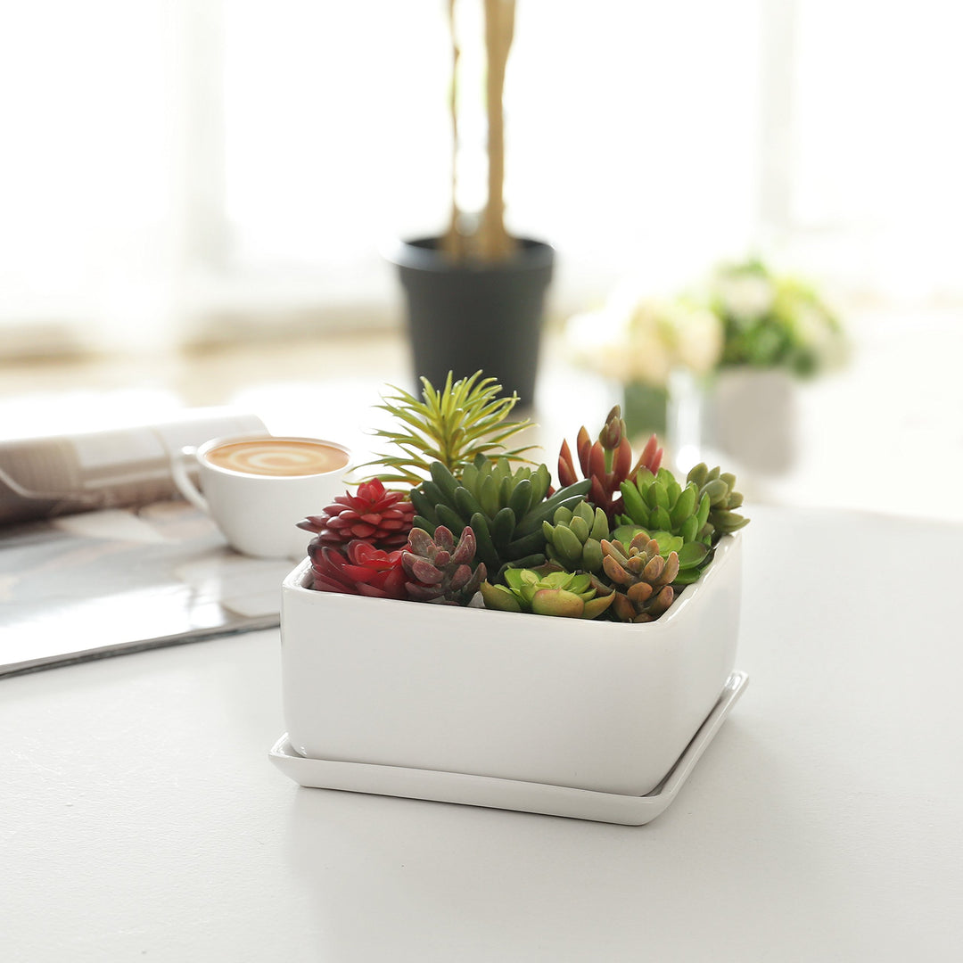 Modern White Ceramic Square Indoor Small Planter, Flower Succulent Plant Pot with Drainage Hole and Removable Drip Tray
