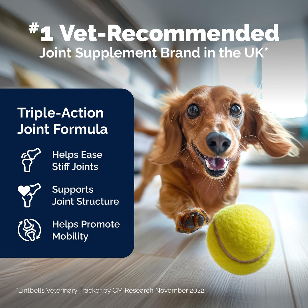 YuMOVE Adult Dog Tablets | Hip and Joint Supplement for Dogs with Glucosamine, Chondroitin, Hyaluronic Acid, Green Lipped Mussel | Dogs Aged 6 to 8 | 120 Count Tablets, Treat Colored