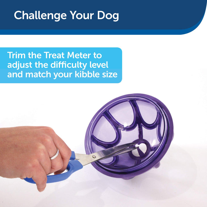 Busy Buddy Kibble Nibble - Dog Toy - Treat and Food Dispenser - Slow Feeder - Medium/Large