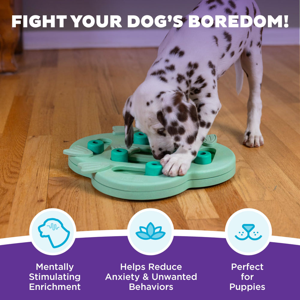 by Nina Ottosson Puppy Hide N' Slide Treat Puzzle Enrichment Dog Toy, Green